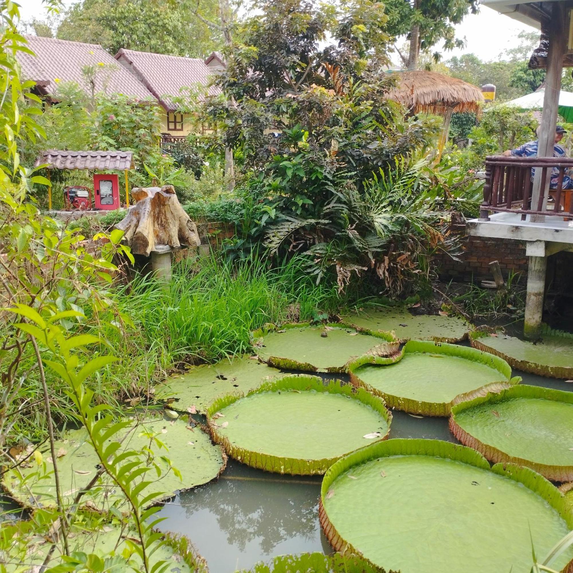 Brown House Resort Cần Thơ Zewnętrze zdjęcie